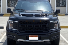 Ford
              F